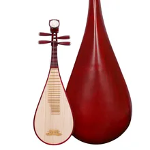 

Pipa Chinese lute national string instrument with pipa bag