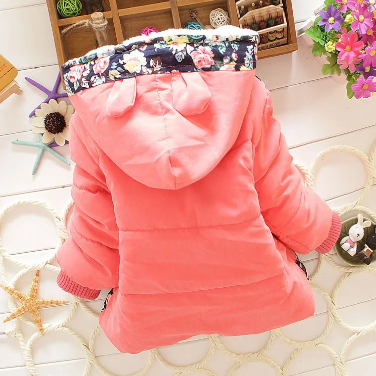 HTB1DT7fKFXXXXcWaXXXq6xXFXXXz