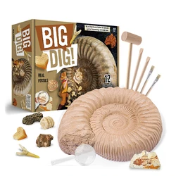 Jumbo Fossils Dig Kit 12 Real Fossils/Dinosaur Poo/Shark Teeth & More Dinosaur Toys Paleontology Science Toys for Kids STEM Gift