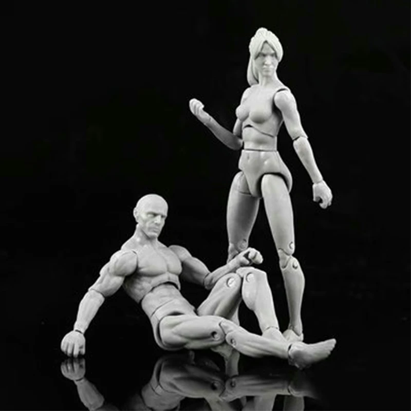 1Pcs Anime Archetype He She Ferrite Movable Body Feminino Kun Chan PVC Action Figure Model Toys Doll for Collectible | Игрушки и хобби