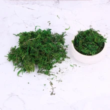 Искусственный мох свежий зеленый Моделирование поддельные растения для украшения дома и сада