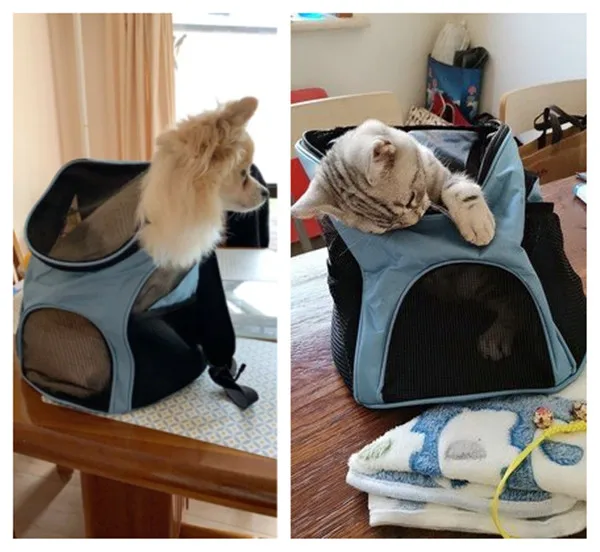 Portable and Foldable Travel Pet Carrier Backpack