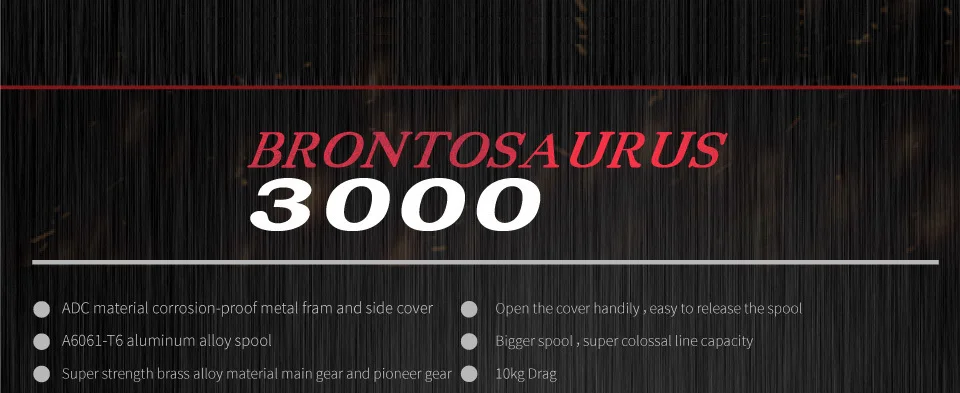 EN3000-01_04