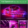 LED Plant Grow Lights Full Spectrum Phytolamp for Plants Flowers Seeds Phyto Tape SMD 5050 LED Strip for Greenhouse Grow Tent 5M ► Photo 2/6