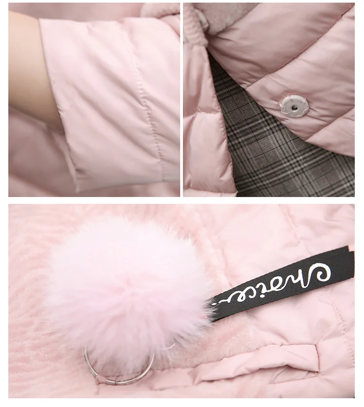 Thin Cotton-padded Clothes Women's Short New Style Autumn And Winter Cotton Coat Korean-style Small Short Cocoon Cotton-pad