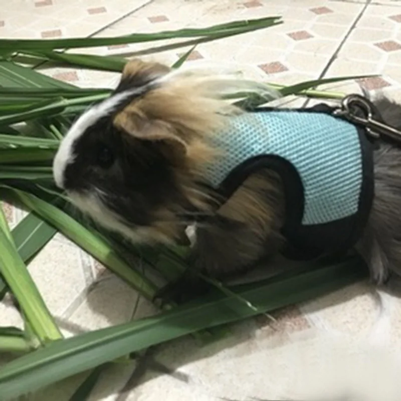 Кролик Хомяк жилет с поводком кролик сетка нагрудный ремень es ошейники Ferret