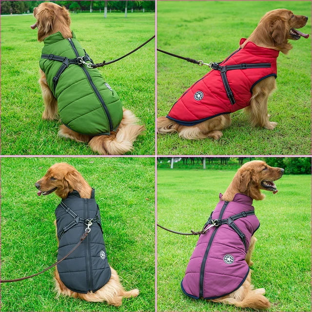 Large Pet Dog Jacket With Harness Winter Warm Dog Clothes For Labrador Waterproof Big Dog Coat Chihuahua French Bulldog Outfits 3