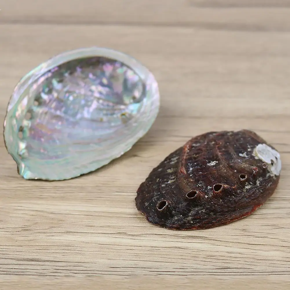 9-13cm Natural Abalone Shell Home Decor Seashell Beach Wedding Ocean Decoration Jewelry Diy Soap Dish Holder Aquarium Landscape natural shell ornaments
