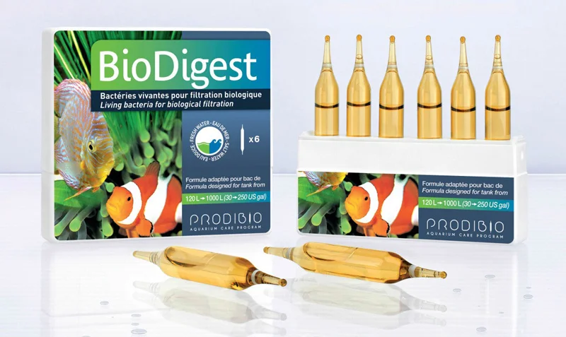 biodigest
