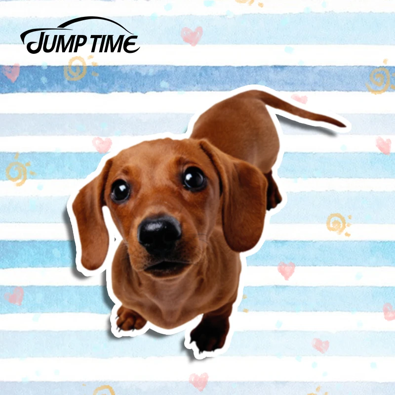 Jump Time 13cm x 12.5cm Funny Stickers Dachshund Pet Dog 3D Car Styling Vinyl Decal Personality Waterproof Accessories | Автомобили и