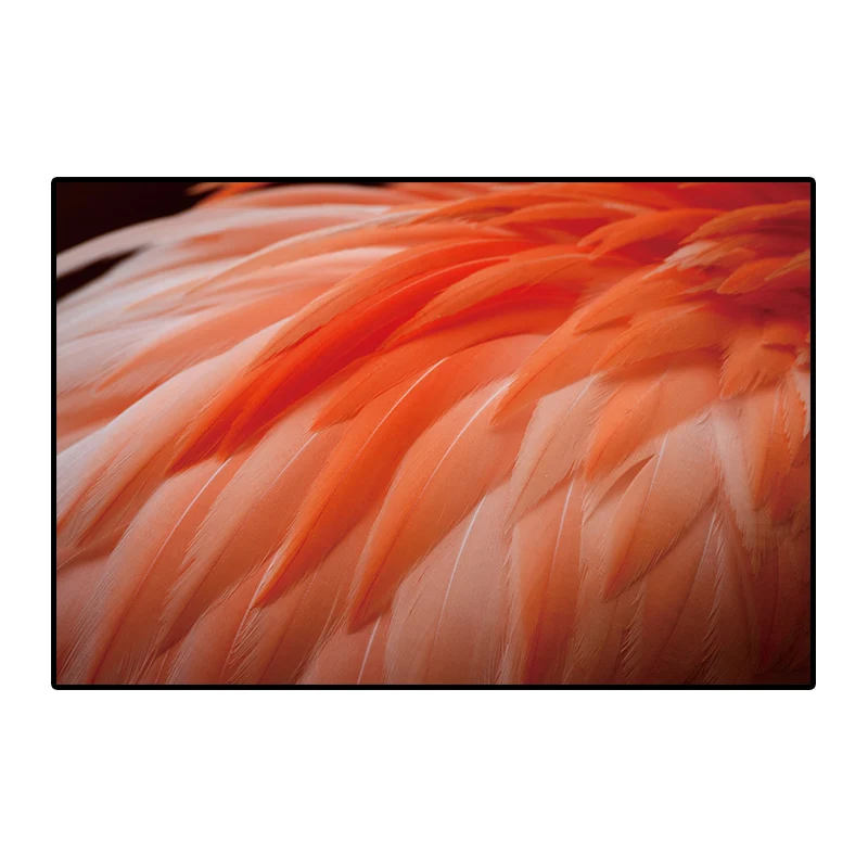 baidi__0000s_0003_dz26 (1)