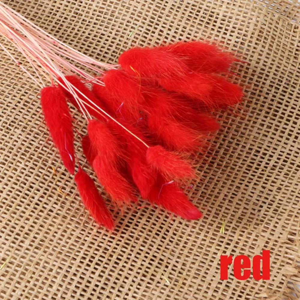 red 30 шт./лот, Свадебный декор, Натуральные сушеные цветы, Красочный Букет цветов для кроличьего хвоста, трава, букет, домашнее искусственное украшение - Цвет: red