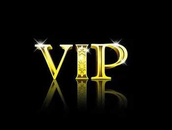 

VIP payment link for Raul（838SYY）