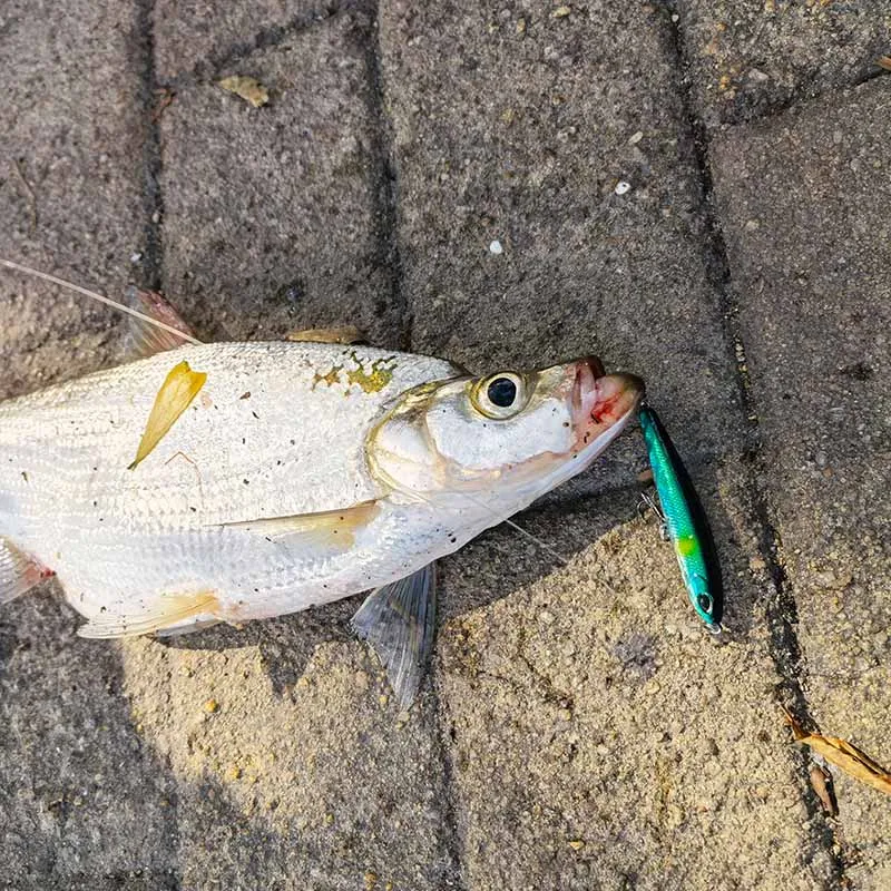 OUTKIT Neue Sinking Bleistift Köder Süßwasser Tauchen Künstliche Zitternde Gefälschte Köder Für Forelle Hecht Barsch Tackle Creek Wobbler – Detail 3