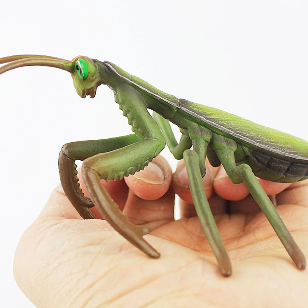 カマキリ置物シミュレーション昆虫モデルリアルな工芸ギフト装飾コレクション玩具デスクトップホームオフィスの装飾 Figurines Miniatures Aliexpress