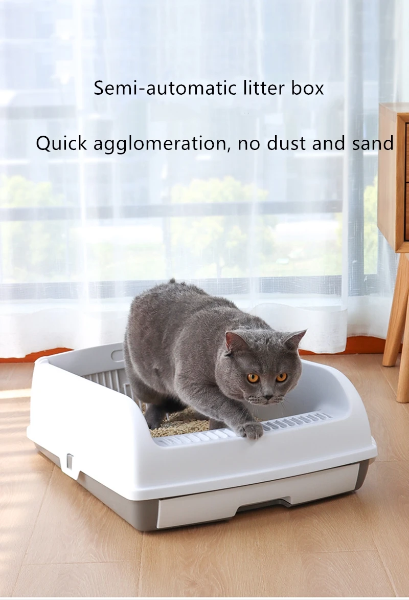 litter box trained dogs for sale