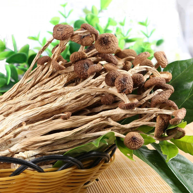 Dried Tea Tree Mushrooms Fresh and Tender