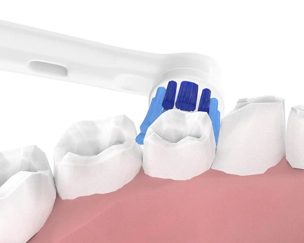 Рисунок 4 - насадки для электрической зубной