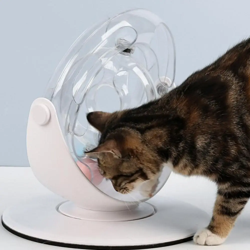 Ролик космическое кольцо интерактивная игра настольная обучающая головоломка игрушки с 2 шариками для домашних животных кошек собак - Цвет: As shown
