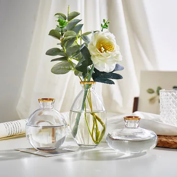 

Nordic Glass Flower Vase Living Room Decor Gold Tabletop Hydroponic Vase Crafts Household Ornament Wedding Gifts Plant Container