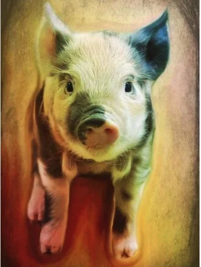 QQ图片20191205144417