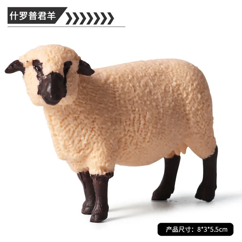 10805666710_1464955482