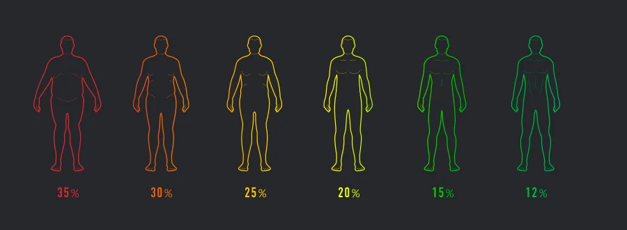 Original Xiaomi Smart Body Fat2