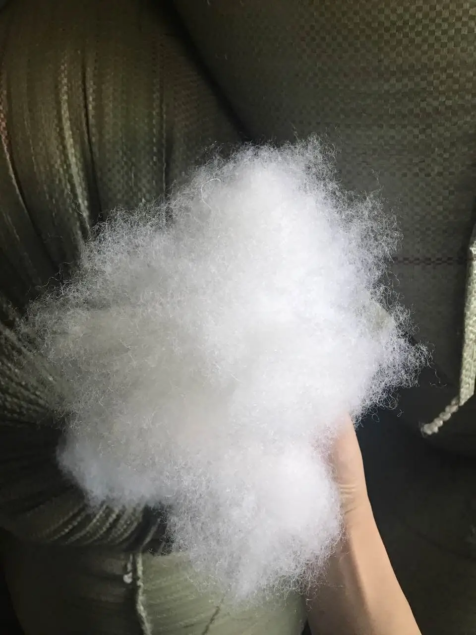 4751582349_1052187549 (1)