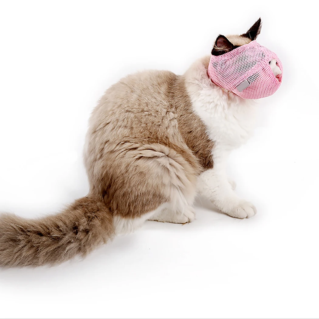 Multifunction Cat Mouth Cover Cat Muzzle Anti-Biting Anti Meow Breathable Pet Muzzle Cat Grooming Tool Pet Supplies Dropshipping Multifunction Cat Mouth Cover Cat Muzzle Anti-Biting Anti Meow Breathable Pet Muzzle Cat Grooming Tool Pet Supplies Dropshipping