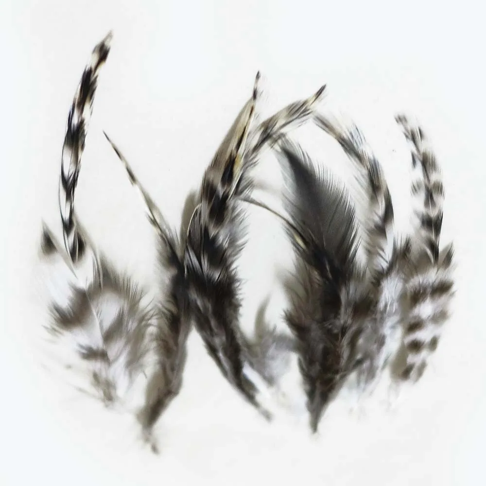900 шт. натуральные перья для украшений 10 15 см|feathers for jewelry|feathers jewelry makingfeathers sale |