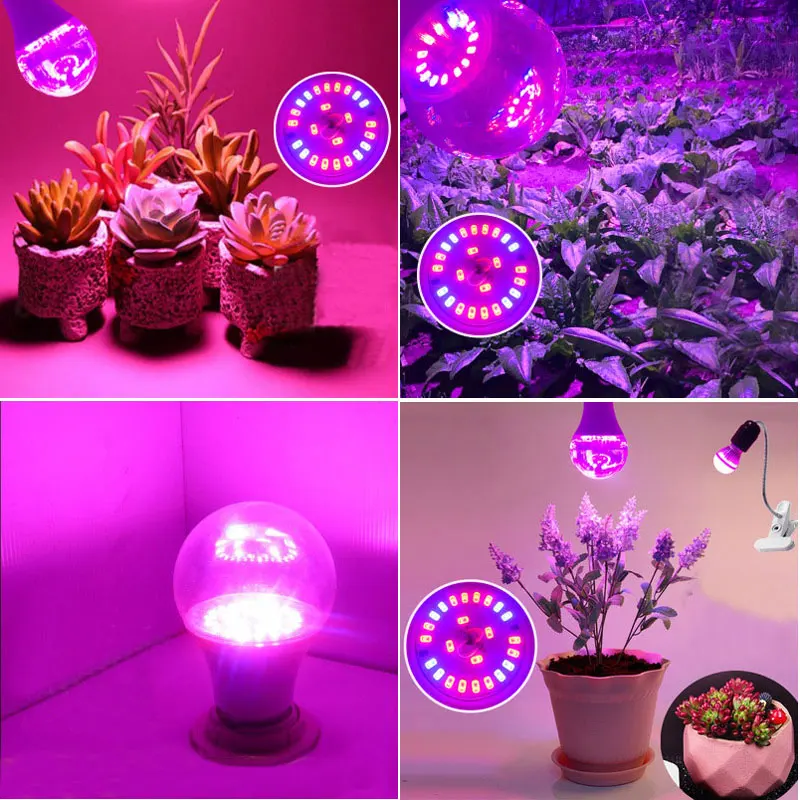 

E27/E26 LED desk Light Rotate 360 degrees holder belt clip switch abajur led grow light holder led bulb light clamp table lamp