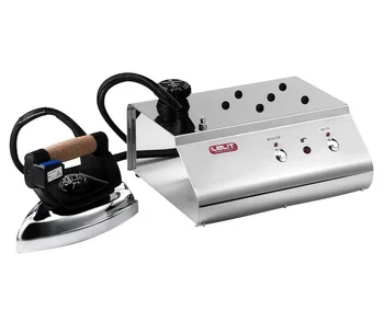 

Steam generator with iron PS 25