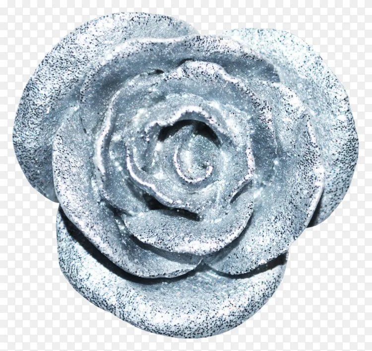 坦帕18年1月日剪贴画png图片素材免费下载 图片编号 Png素材网