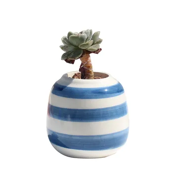 

Blue Thumb Basin Ceramic Multi-meat Flower Pot Plant Flower Pot Hand Crafts Home Desktop Decor Valentine's Day Gift