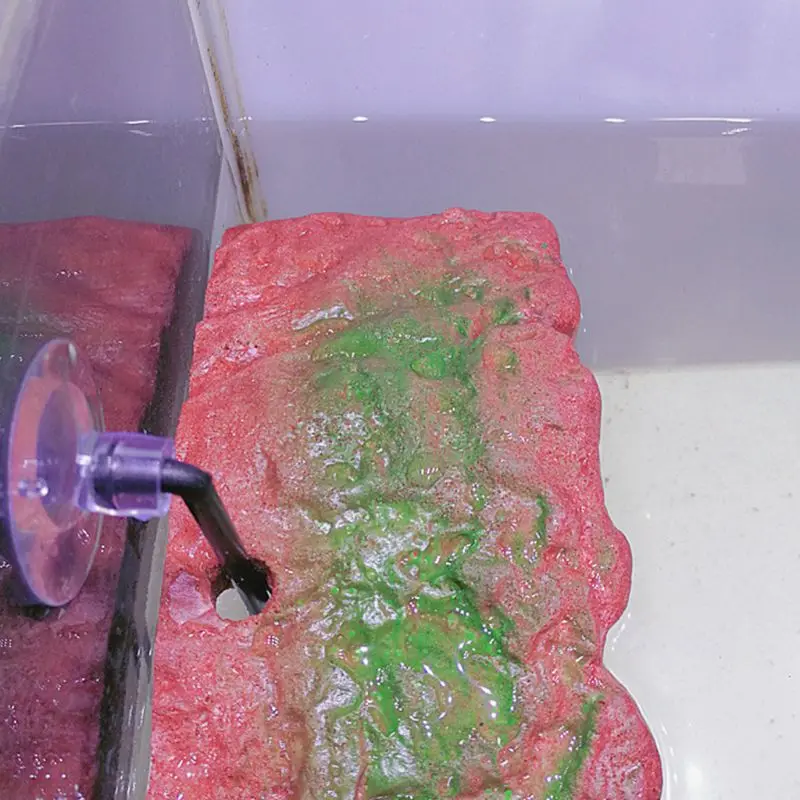 Домашнее Животное Черепаха сушки задняя доска сосать аквариум Автоматическая плавающая остров палуба украшение аквариума C42