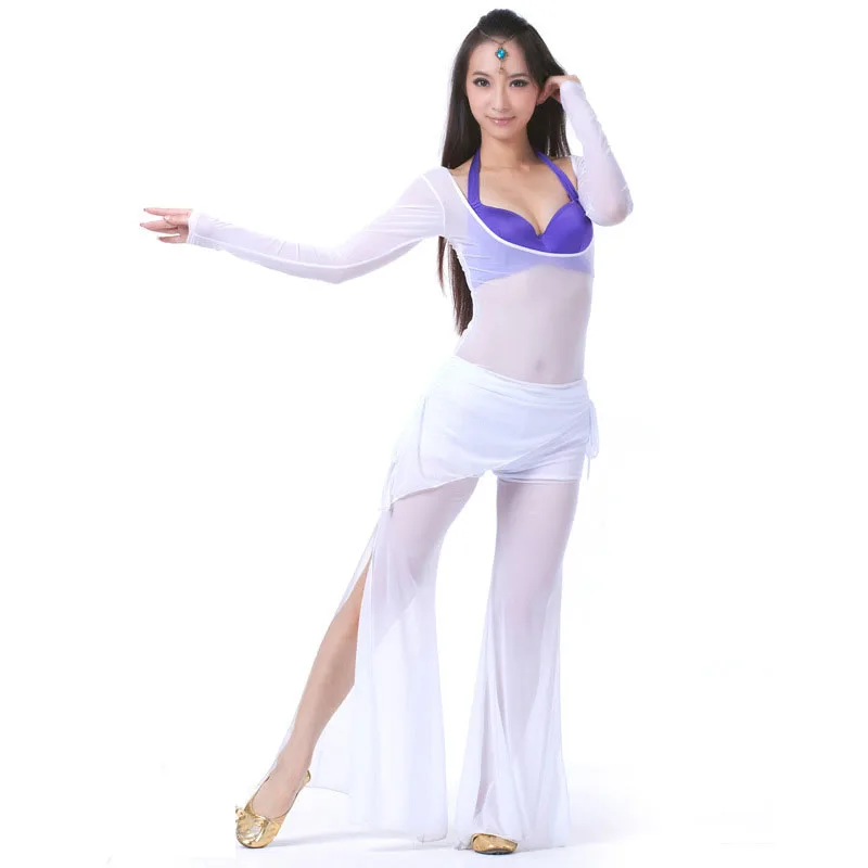 Women Sexy Belly Dance Costume Long Sleeve Mesh Suit Belly Dance Sets Autumn Winter Dance Long Pants Split Perspective 10 Colors - Цвет: White