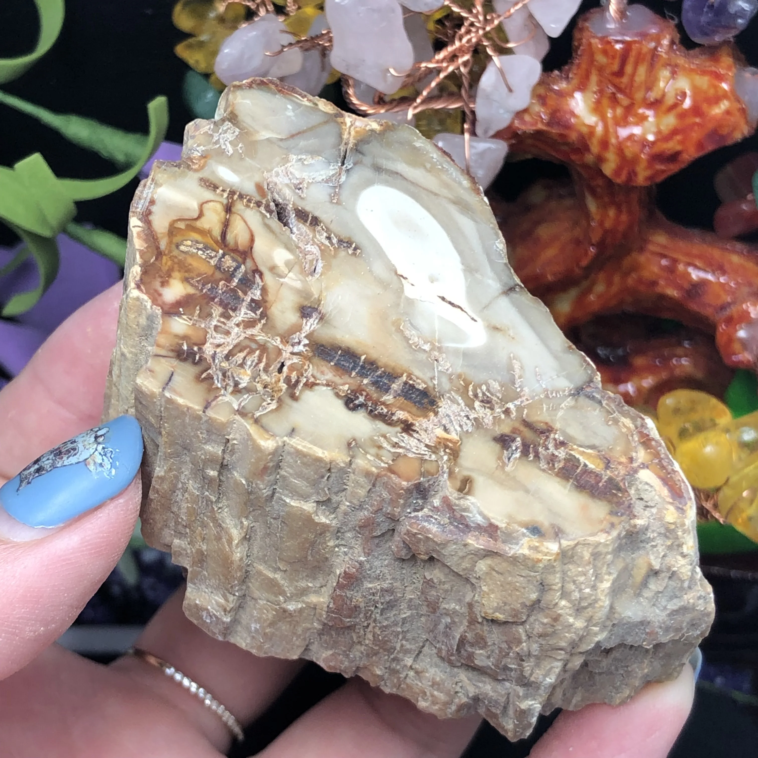 

Natural Petrified wood fossil original stone raw Rock Crystal Quartz Mineral Specimen Healing Reiki home Decor