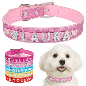 pomsky gifts dog collar