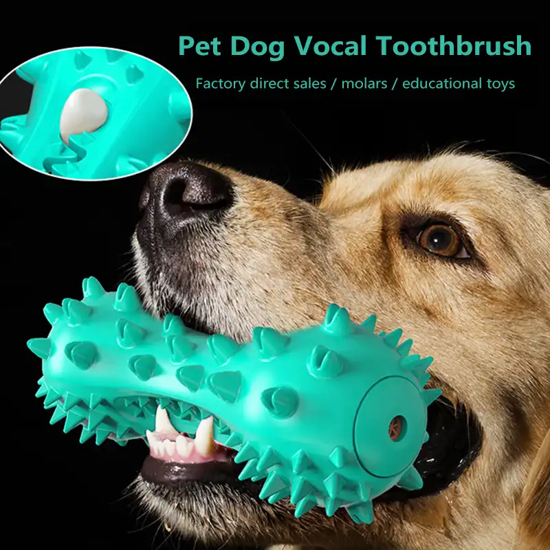 cover the hexagon dog toothbrush