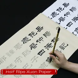 Cahier de calligraphie pinceau chinois, cahier de pratique, papier de riz, adulte débutant, Liu Bingsen, cahier de calligraphie officiel 