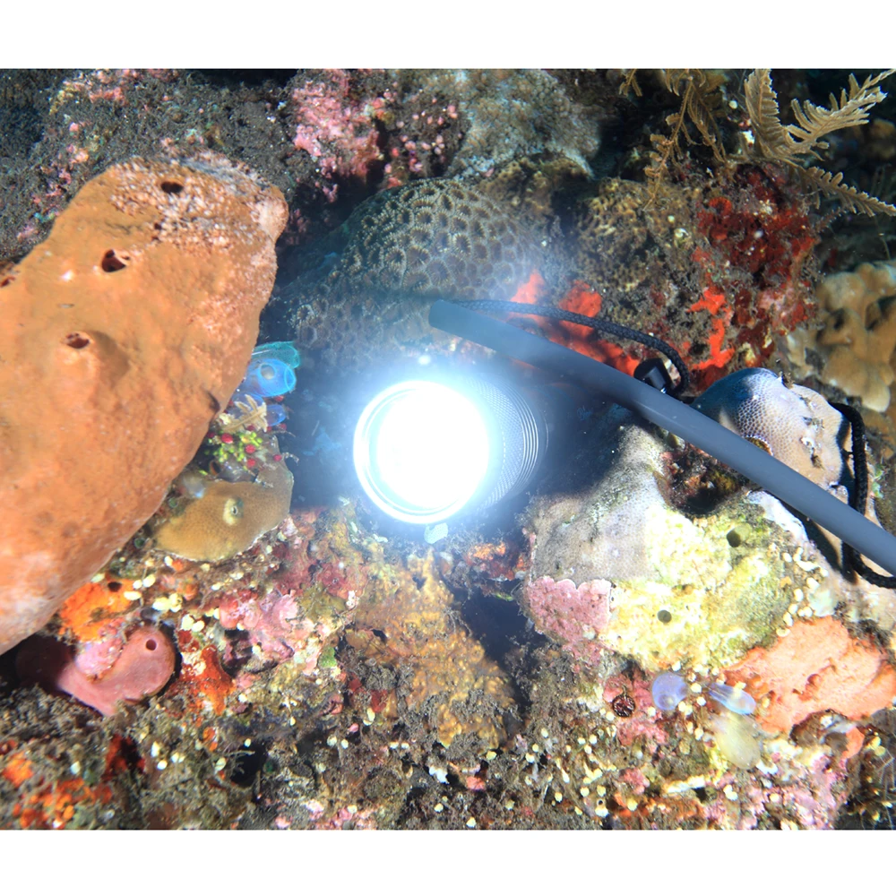 SecurityIng 1000Lm XM-L2 U2-1A LED IP68 Diving Flashlight Max to 150m with Magnetic Switch