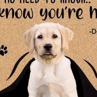 Personalized Dog Welcome Mat Custom Doormat With Pet's Photo Name Hallway Doorway Floor Mats Carpet Home Decor Accessory 2