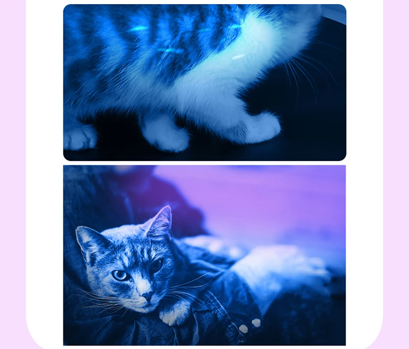 O1CN01jhTNXL1RNNtF6Fm5a_!!3864372099