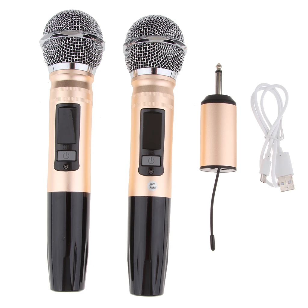 2 Channel Dual Handheld Cordless Microphone Mic System Set for Home Party KTV Wedding