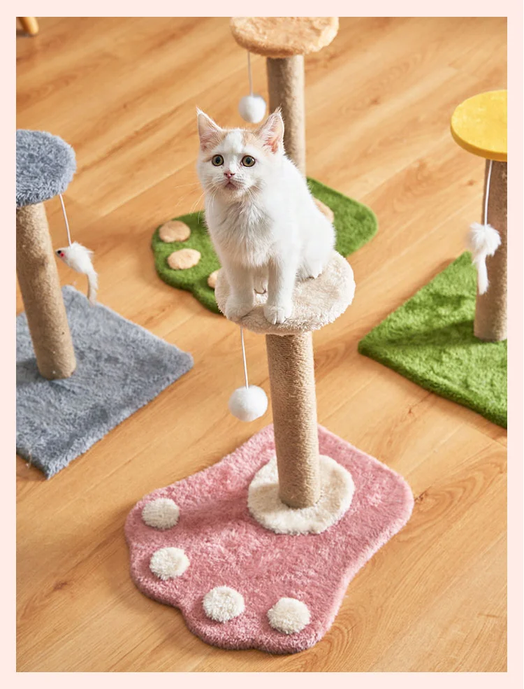 H0970a434a4e540c29ce386def4fcb835j