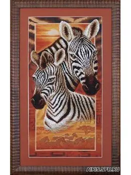 

B-037 set for embroidery with beads 'Magic canvas 'Africa: Zebra ', 22x46 cm