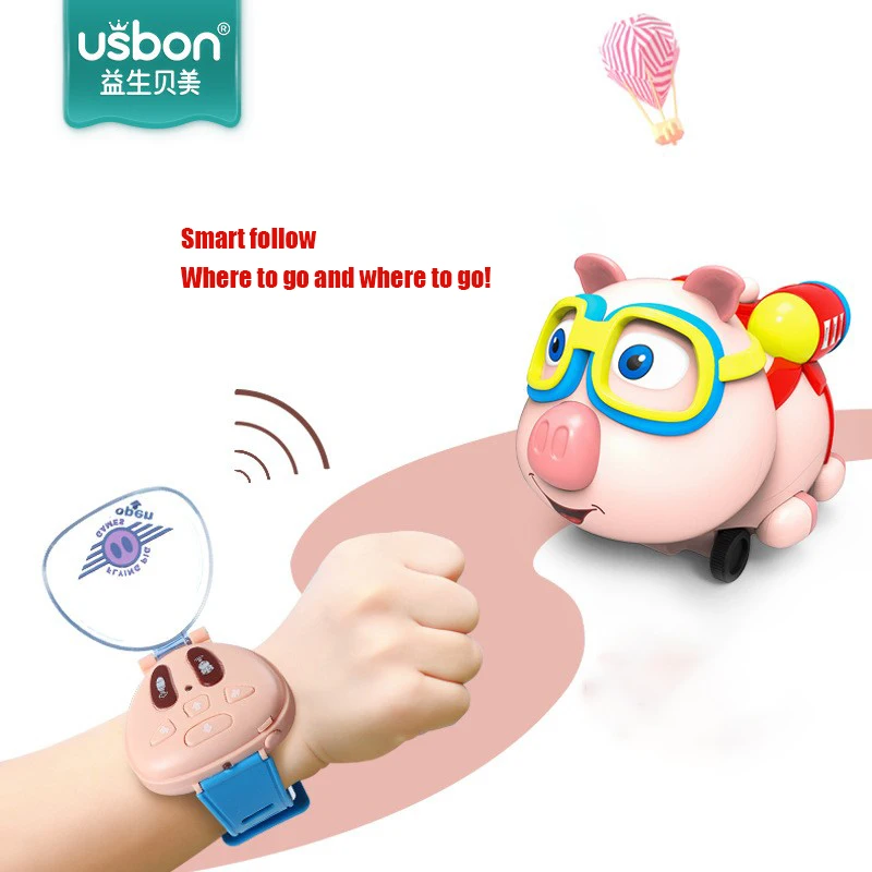 

22cm RC Car 1/18 Car Remote Control Car Model Vehicle Toy with Light and SoundSmart Follow Spray Pet Pig Car for Boy Kids Gift