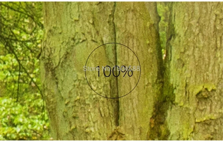 Custom Mural Wallpaper 3D Green Forest Landscape Wall Painting Living Room TV Sofa Background Wall Decor Papel De Parede Sala 3D