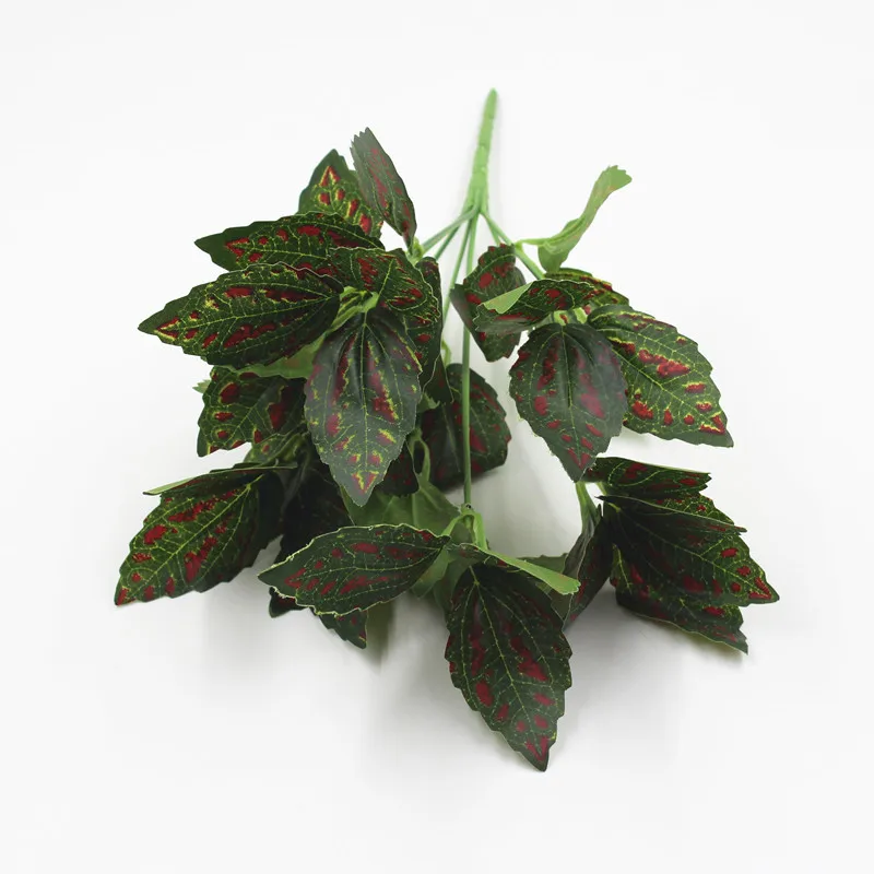 9742881276_1338463617