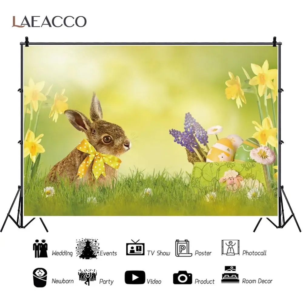 Laeacco-   ܵ  Ƽ 䳢 Ȱ ް  ,  Կ ̺  Ʃ 